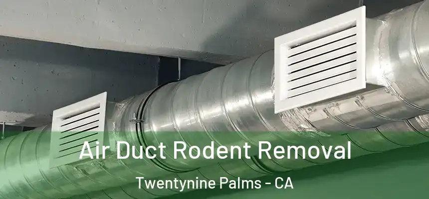  Air Duct Rodent Removal Twentynine Palms - CA
