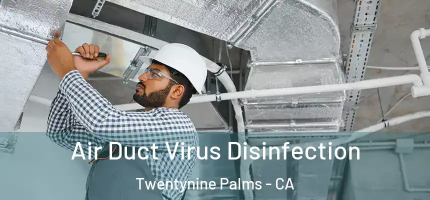 Air Duct Virus Disinfection Twentynine Palms - CA