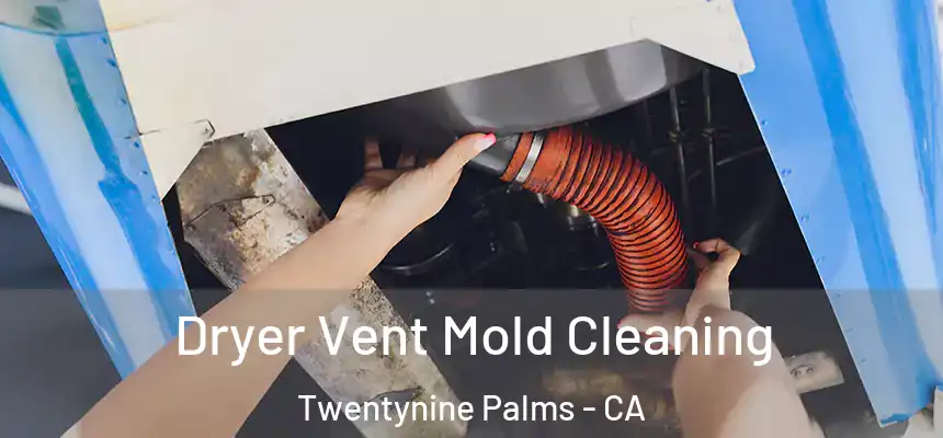  Dryer Vent Mold Cleaning Twentynine Palms - CA