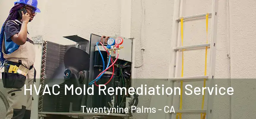  HVAC Mold Remediation Service Twentynine Palms - CA