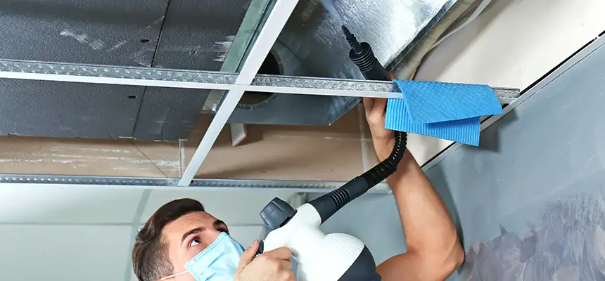 Our Air Duct Rodent Removal Services in Twentynine Palms, CA