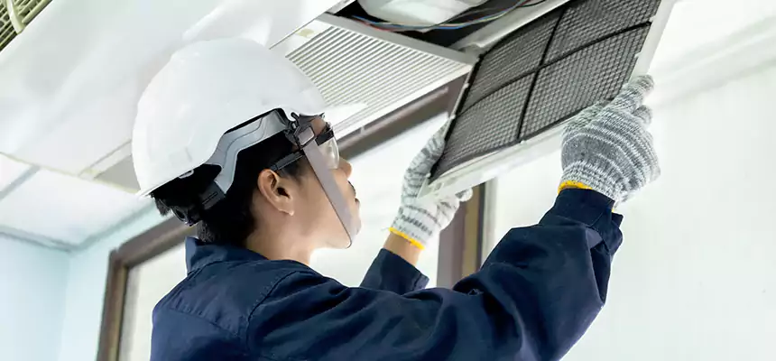 Our Mold & Mildew Removal from Air Ducts Services in Twentynine Palms, CA