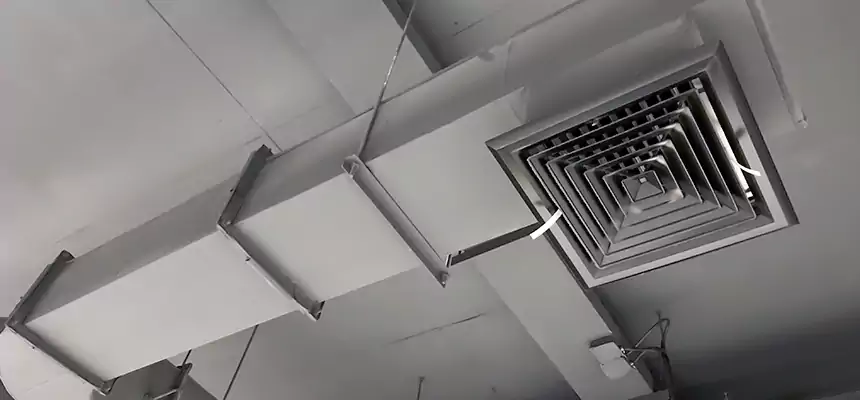 Our Pest Removal From Ducts Services in Twentynine Palms, CA