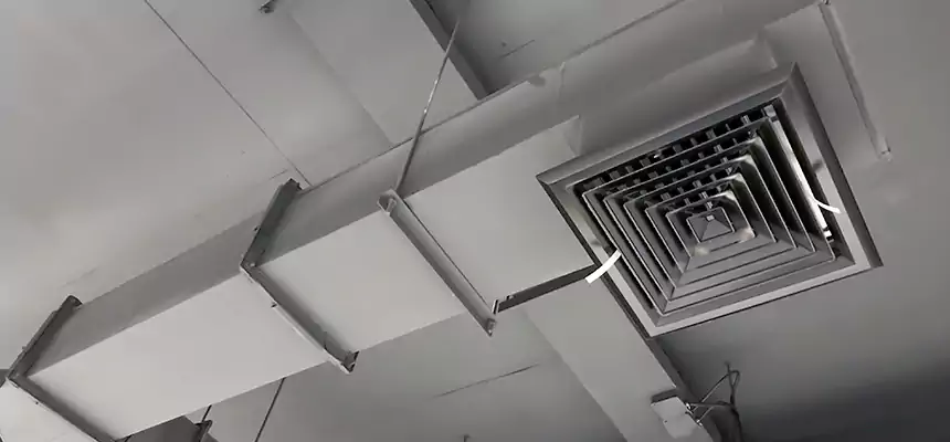 Our Rodent Droppings In Vents Services in Twentynine Palms, CA