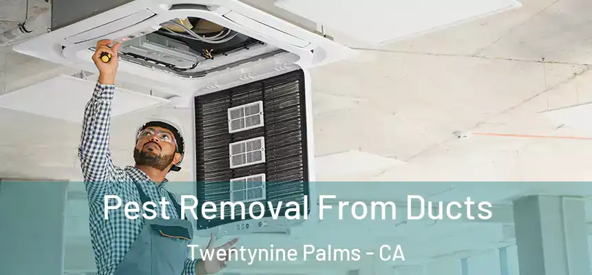  Pest Removal From Ducts Twentynine Palms - CA