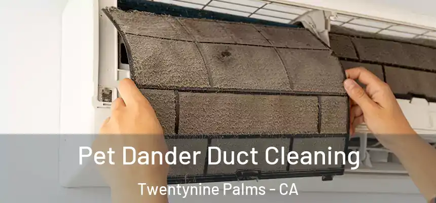  Pet Dander Duct Cleaning Twentynine Palms - CA