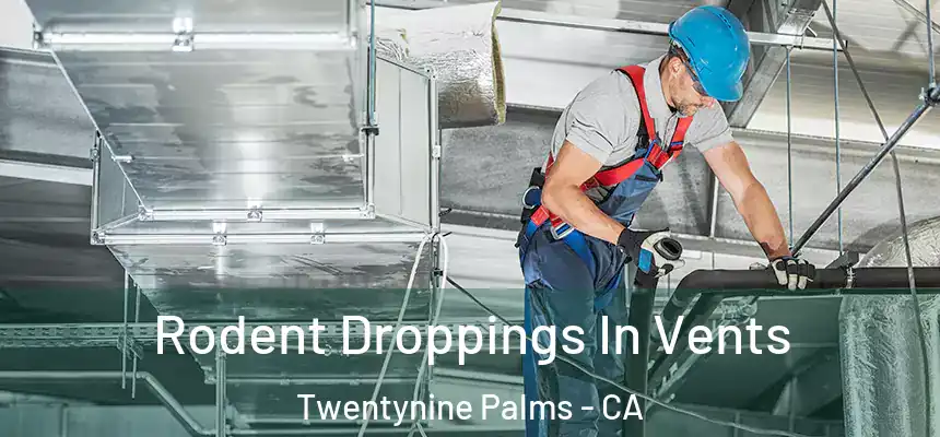 Rodent Droppings In Vents Twentynine Palms - CA