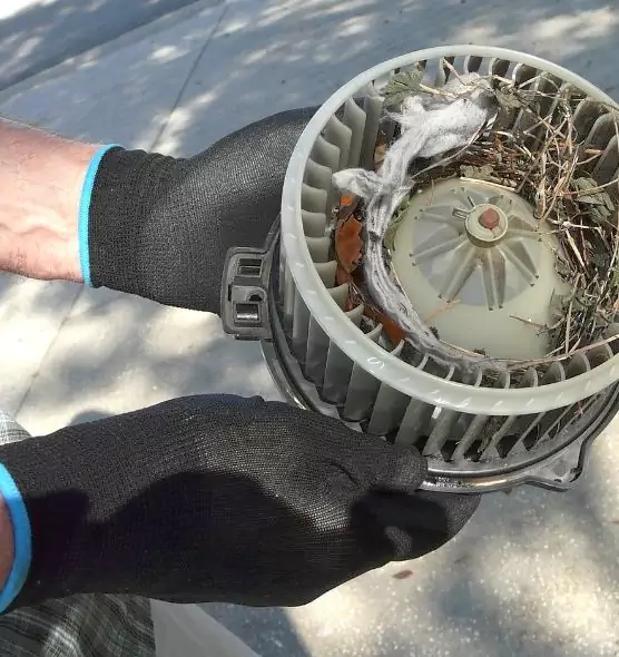 About Air Duct Mice Removal in Twentynine Palms, CA