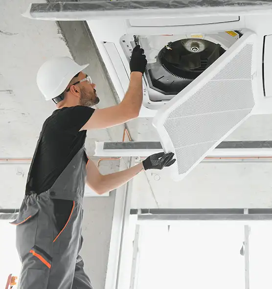 About Air Duct Rodent Removal in Twentynine Palms, CA