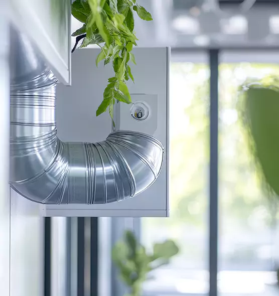 Professional Eco-Friendly Duct Cleaning Services in Twentynine Palms, CA