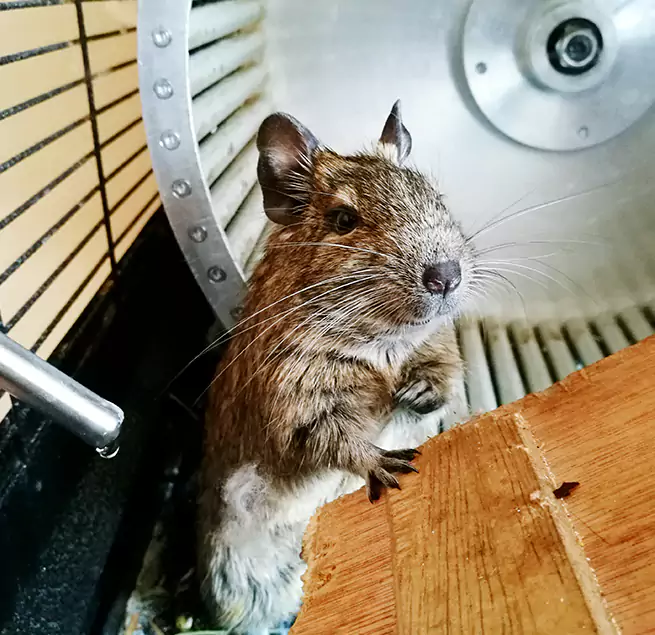 Why Homeowners & Businesses Trust Us Twentynine Palms, CA